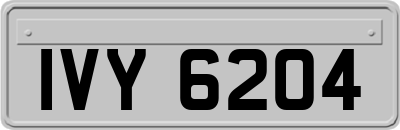 IVY6204