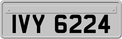 IVY6224