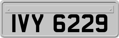 IVY6229