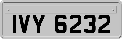 IVY6232