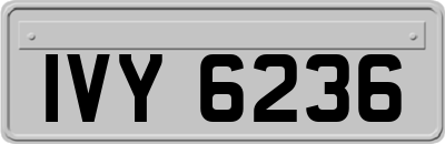 IVY6236