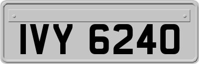 IVY6240