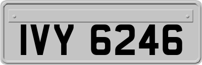 IVY6246