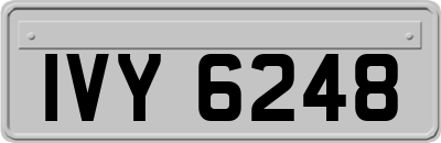 IVY6248