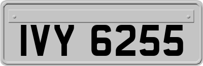 IVY6255
