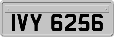 IVY6256