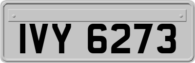 IVY6273