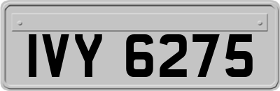 IVY6275
