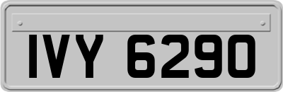 IVY6290