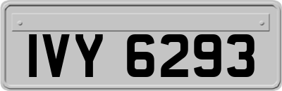 IVY6293