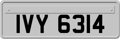 IVY6314