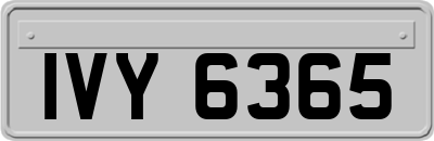 IVY6365