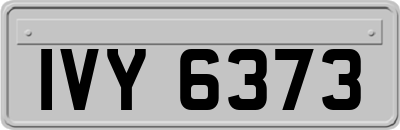 IVY6373
