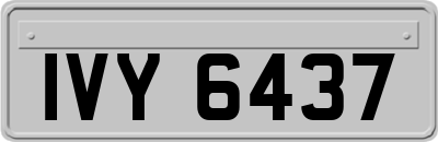 IVY6437