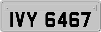 IVY6467