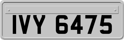 IVY6475