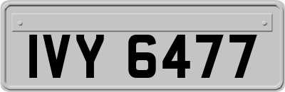 IVY6477