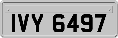 IVY6497