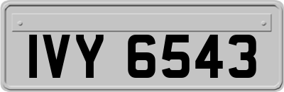 IVY6543