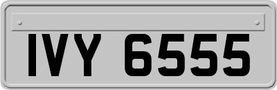 IVY6555