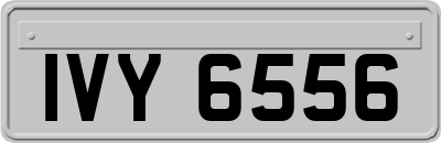 IVY6556