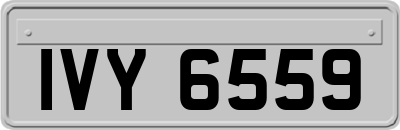 IVY6559