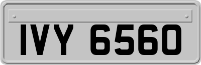 IVY6560