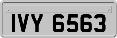 IVY6563