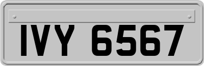 IVY6567