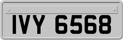 IVY6568