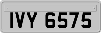 IVY6575
