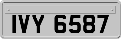 IVY6587