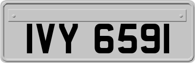 IVY6591