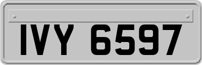 IVY6597