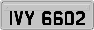 IVY6602