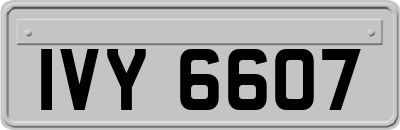 IVY6607