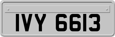 IVY6613