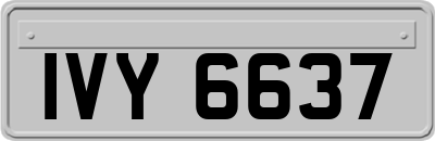 IVY6637