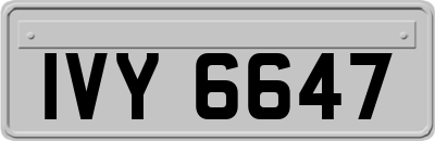 IVY6647