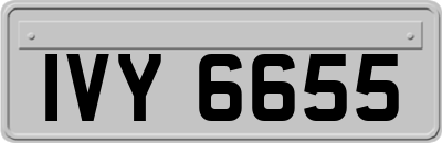 IVY6655