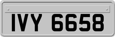 IVY6658