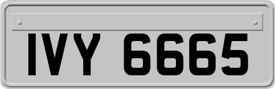 IVY6665