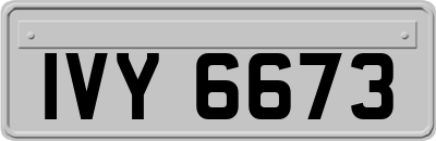IVY6673