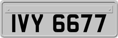 IVY6677
