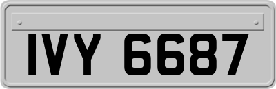 IVY6687