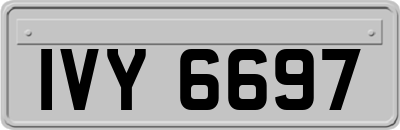 IVY6697