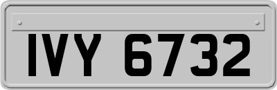 IVY6732