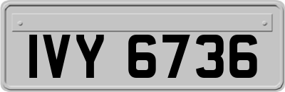 IVY6736