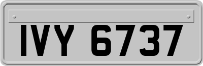 IVY6737