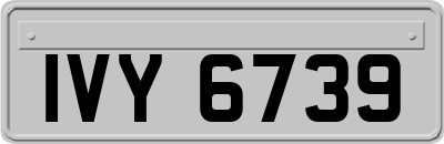 IVY6739